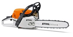 Prikaži detalje za MS 261 Slika MS 261