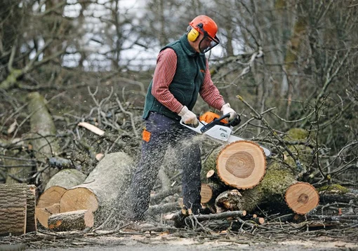 Jesenska akcija STIHL motornih pila
