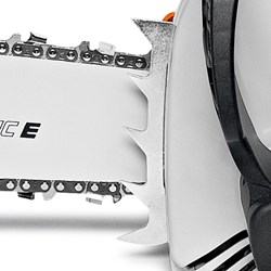 Slika Oslone kandže