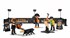 Slika Playmobil set Timbersport Izdanje, slika 7
